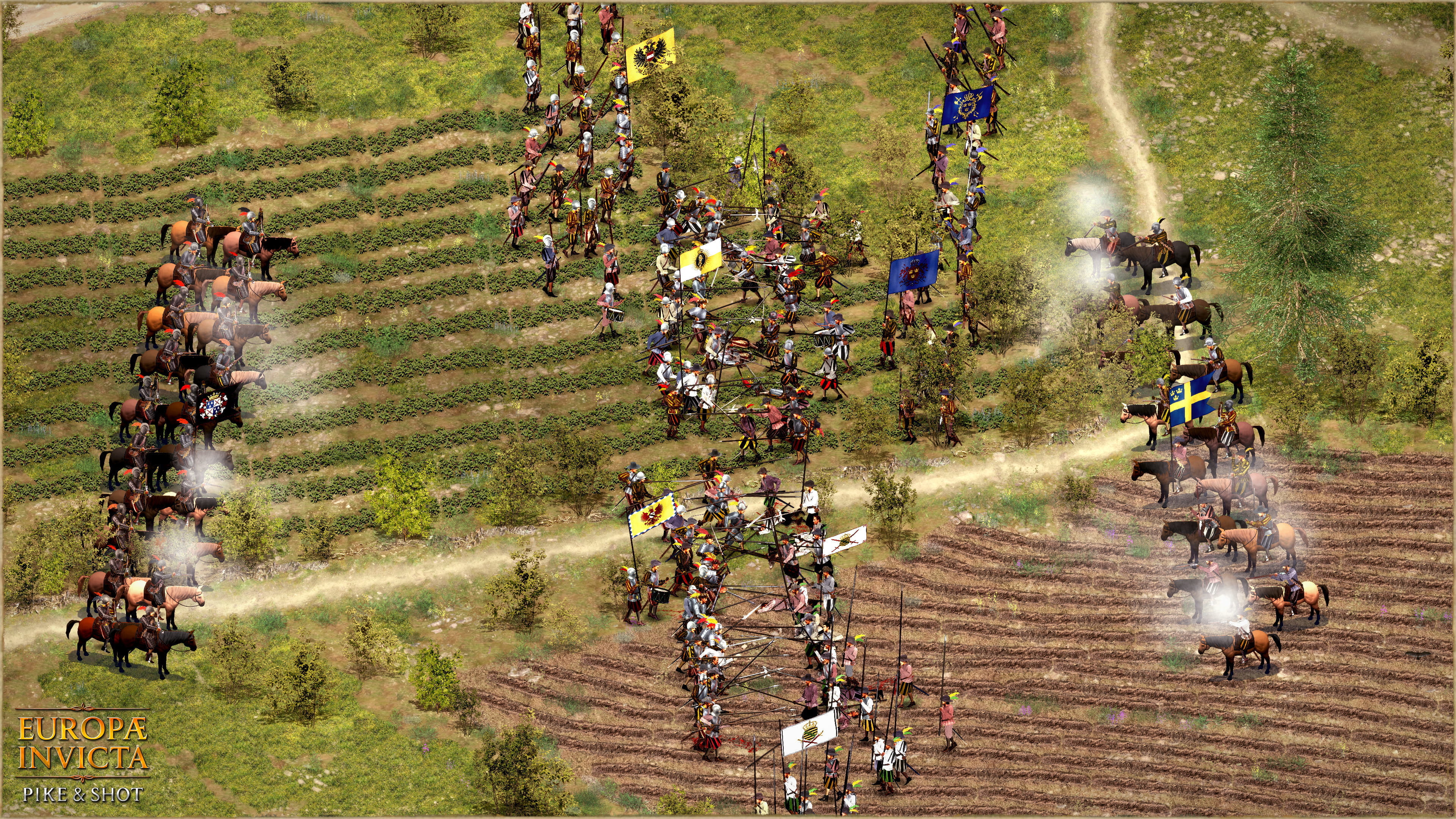 Large tactical battle in Europae Invicta: Pike and Shot